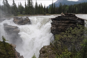 Athabasca Falls